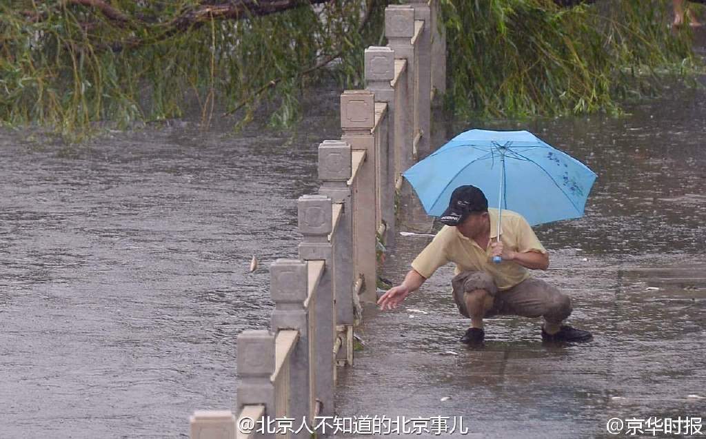 圖片默認標題