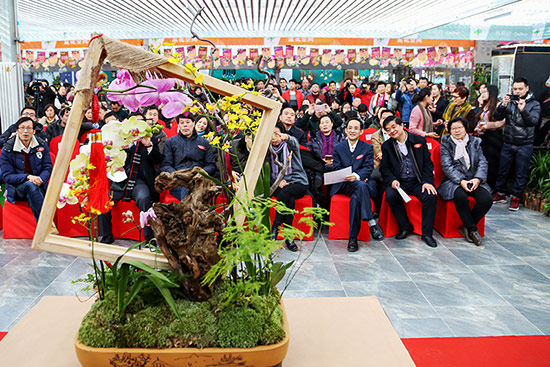 2018迎春年宵花展花鄉開幕 北京本地花卉佔據半壁江山