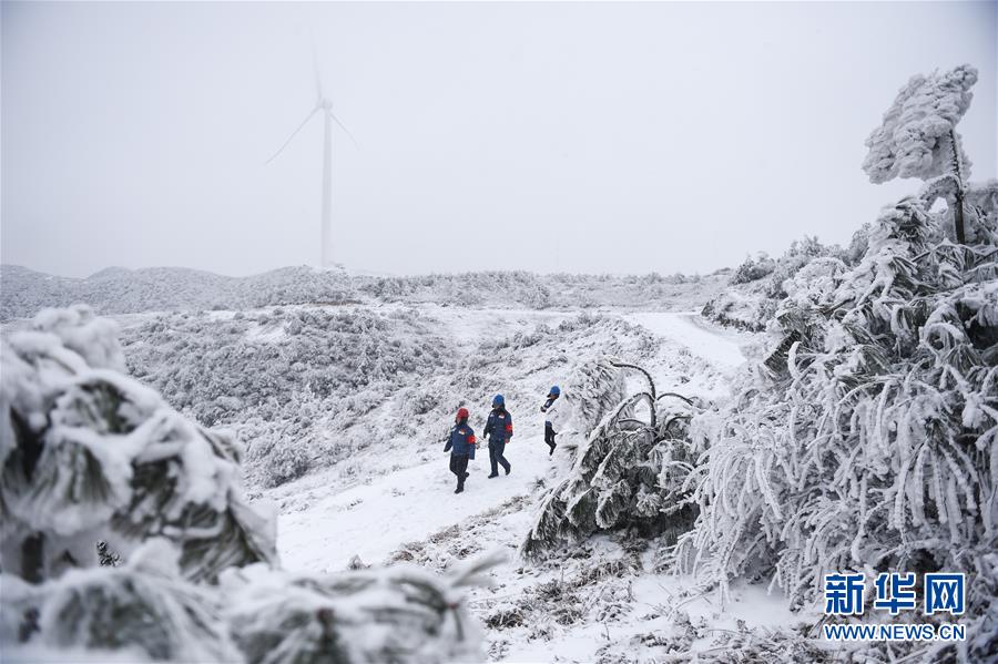 貴州六盤水：梅花山上的風雪巡線人