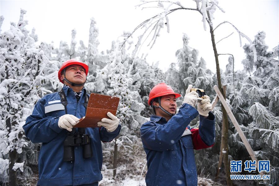 貴州六盤水：梅花山上的風雪巡線人