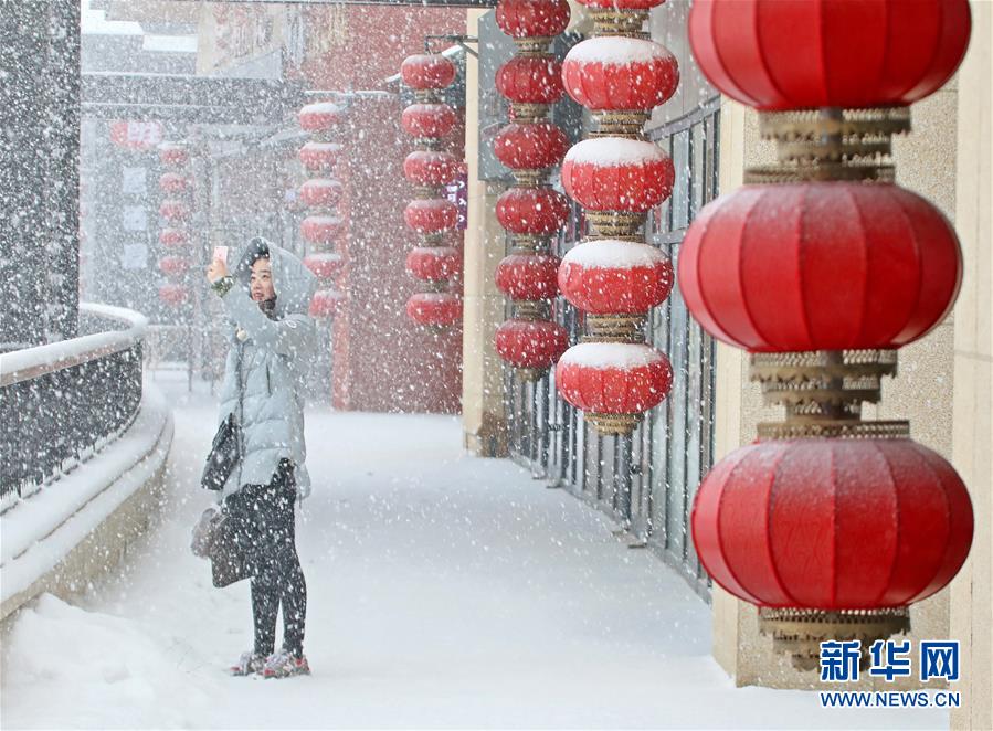 山東半島迎春雪