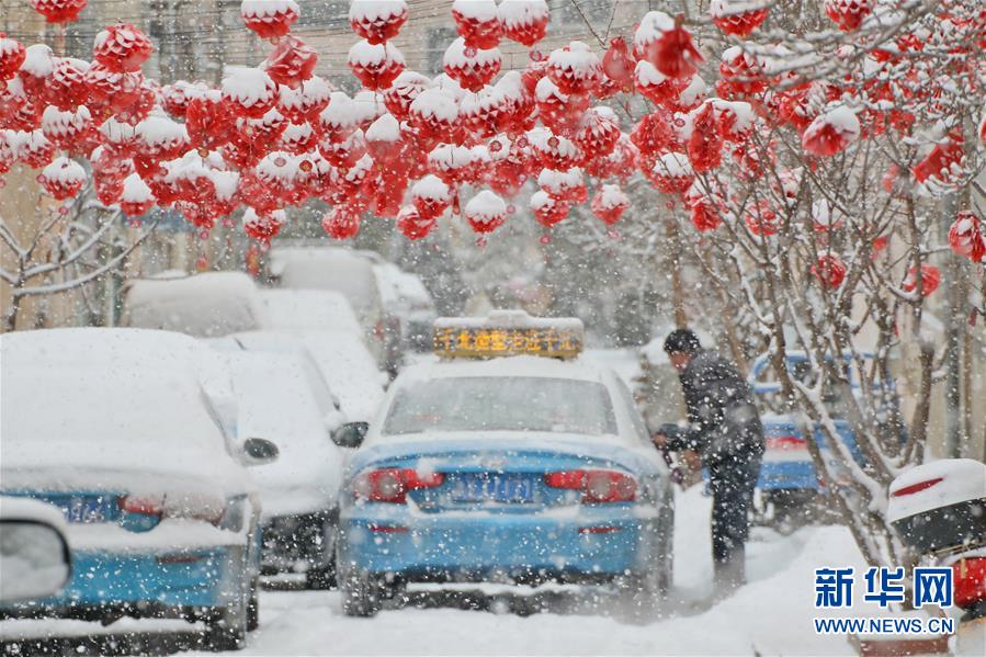 山東半島迎春雪