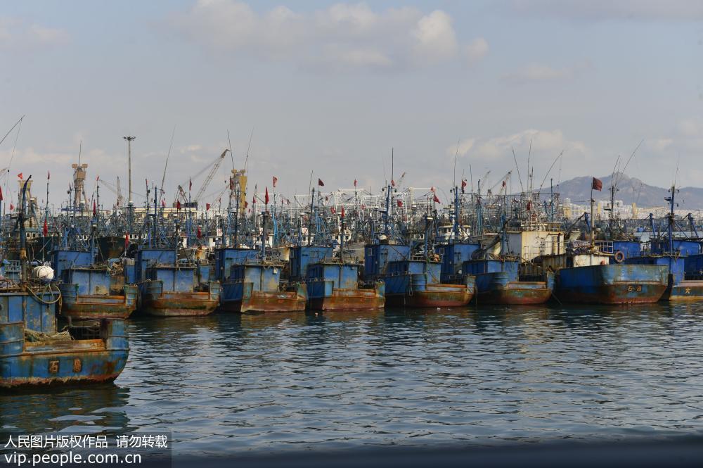 山東榮成：漁民海裏“撈年貨”