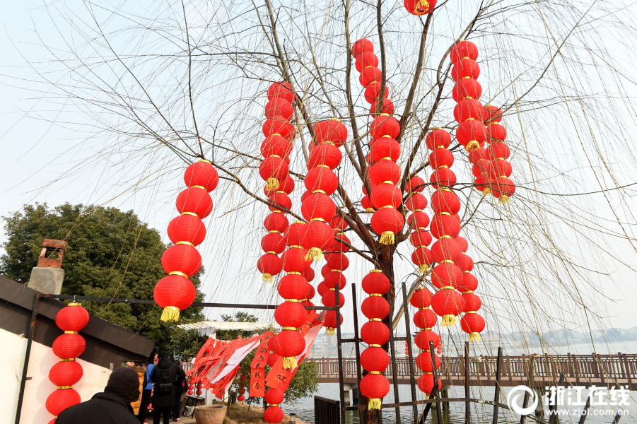 “小候鳥”結對 杭州水鄉迎新年