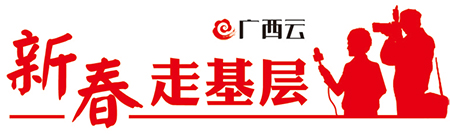 【焦點圖】（首頁標題）探訪廣西獨有珍稀資源:"國寶"金花茶（內容頁標題）[新春走基層]探訪廣西獨有珍稀資源:"國寶"金花茶