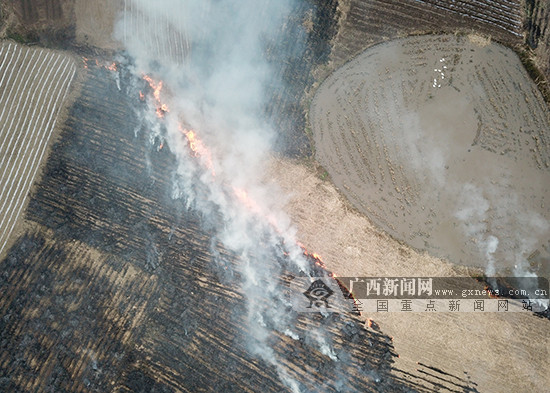 【廣西要聞】廣西多地存在秸稈焚燒現象 大氣污染防控形勢嚴峻（首頁顯示標題：廣西強硬管控 做好大氣污染防控工作）（摘要在文末）