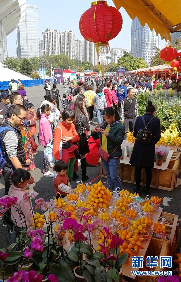 廣州天河花市啟幕