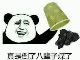 寶寶心裏苦，但是寶寶不説