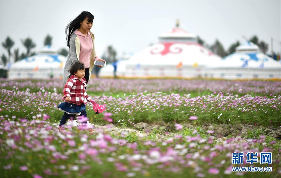 荒地變花海