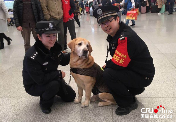 【已過審】【焦點圖】【八桂大地、八桂大地-南寧】【移動端】警犬 “泰森”：最後一次服役南寧春運