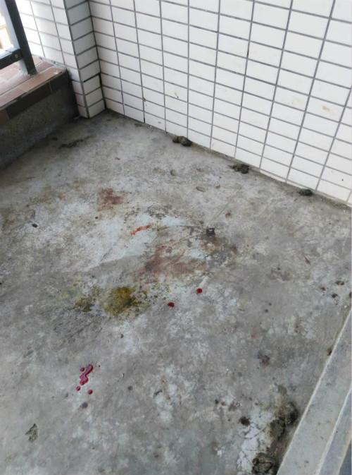 男子領養虐殺50隻狗 將血腥視頻發到網上