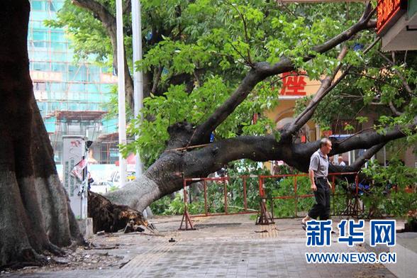 7月進入拉尼娜狀態 我國海洋災害呈偏重趨勢