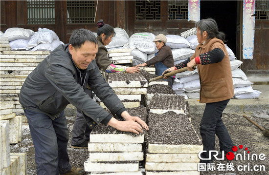 已過審【區縣聯動】【石柱】【區縣聯動列表】石柱縣馬武鎮：春耕備耕工作有序推進