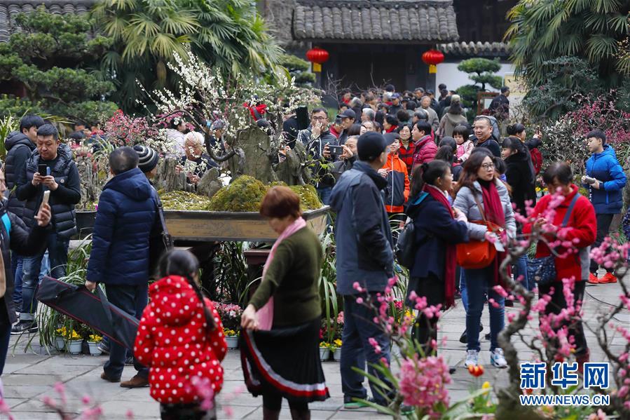 成都：“人日”遊草堂祭杜甫