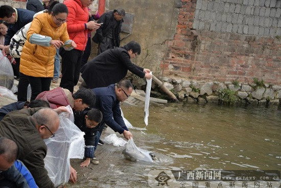 [八桂大地]植樹放魚苗賀新年 柳江區組織團拜活動改善生態