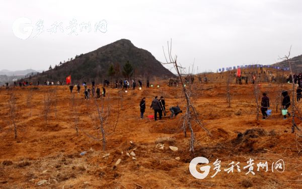 （副頭條）2018年義務植樹活動在省市縣鄉村同步舉行