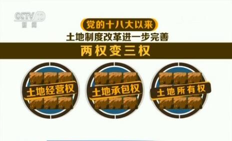 【改革調研行】“兩權”抵押融資 激發農村新動力