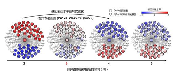 圖片默認標題_fororder_2