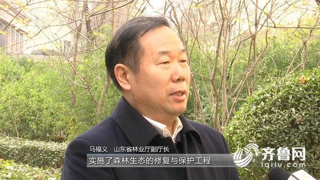 踐行“兩山”理論 推動美麗山東建設邁出新步伐