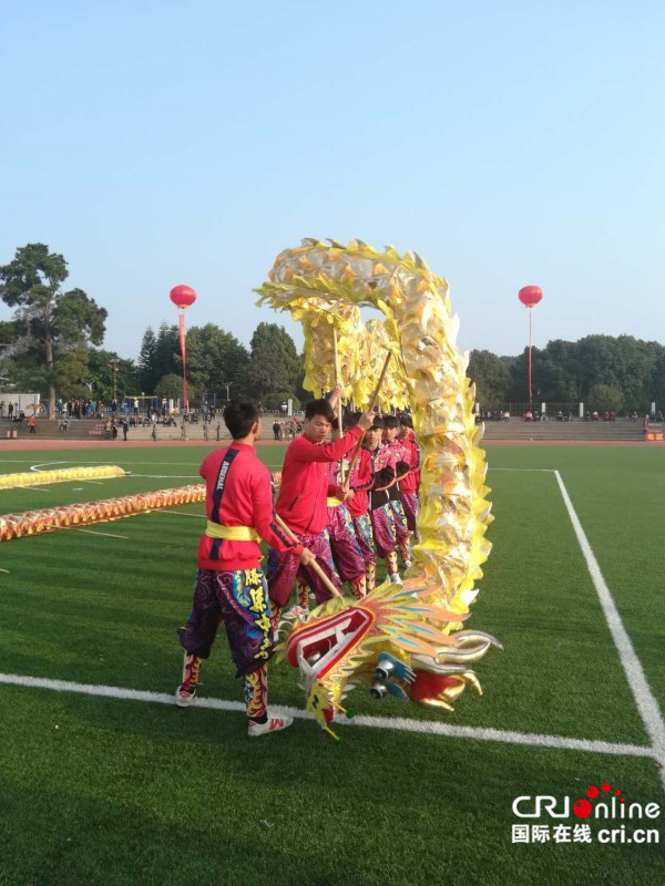 【已過審】【焦點圖】【八桂大地、八桂大地-賀州】【旅遊文體】【移動端】富川上演中國-東盟國際龍獅爭霸賽