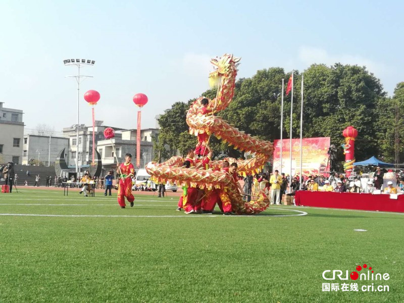 【已過審】【焦點圖】【八桂大地、八桂大地-賀州】【旅遊文體】【移動端】富川上演中國-東盟國際龍獅爭霸賽