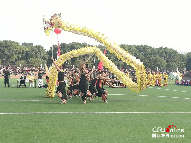 【已過審】【焦點圖】【八桂大地、八桂大地-賀州】【旅遊文體】【移動端】富川上演中國-東盟國際龍獅爭霸賽