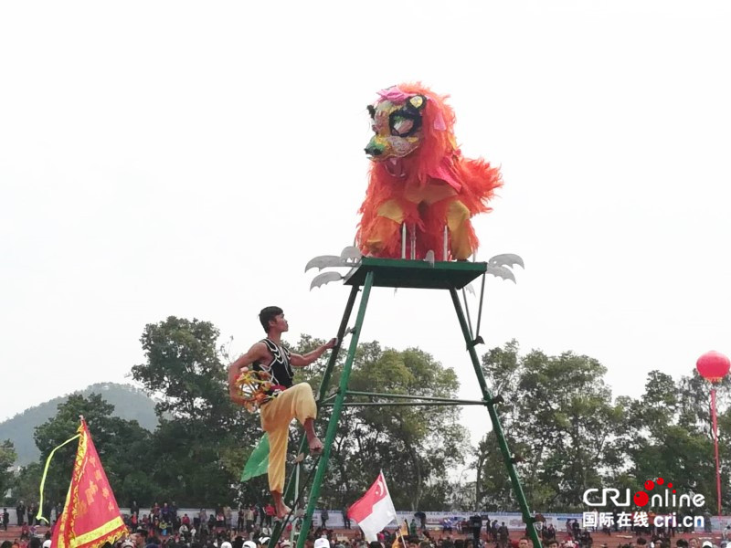 【已過審】【焦點圖】【八桂大地、八桂大地-賀州】【旅遊文體】【移動端】富川上演中國-東盟國際龍獅爭霸賽