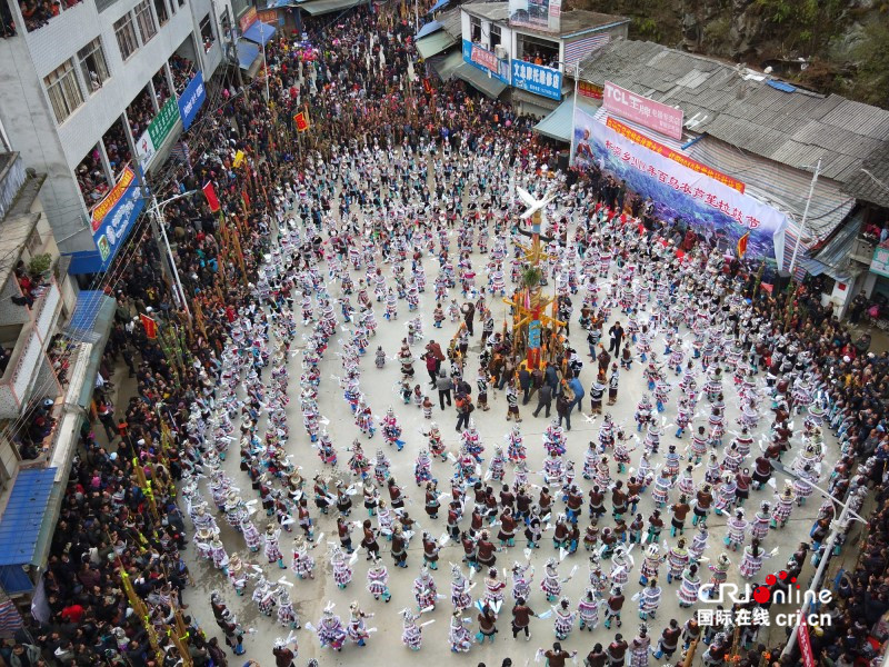 【待審核】【焦點圖】【八桂大地、八桂大地-柳州】【旅遊文體】桂黔苗胞共慶苗族百鳥衣蘆笙拉鼓節