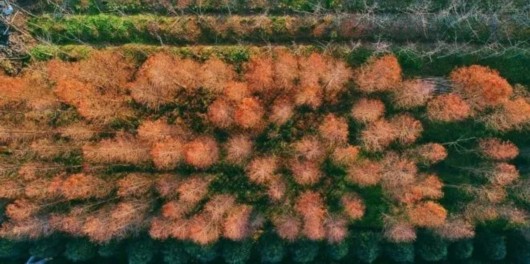 【旅遊（大文字）】玩轉廣富林郊野公園 最全攻略在這裡