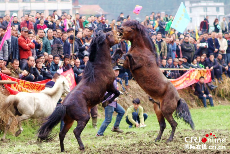 【已過審】【焦點圖】【移動端】【旅遊文體】【八桂大地、八桂大地-柳州】柳州安太鄉舉行“十三坡”民俗活動