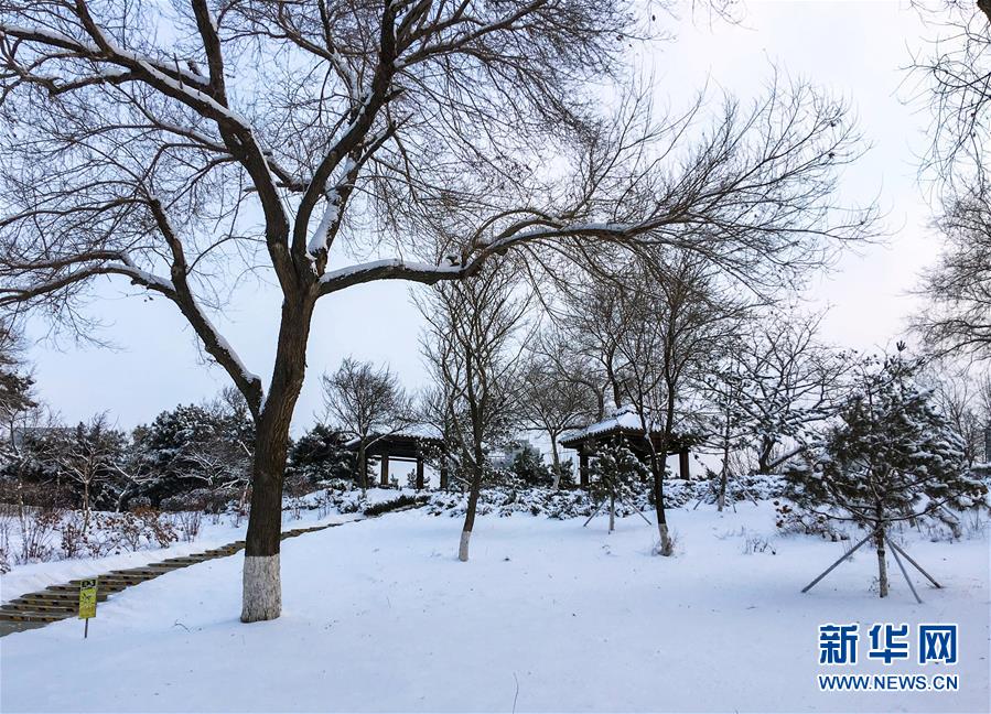 雪降“北國春城”