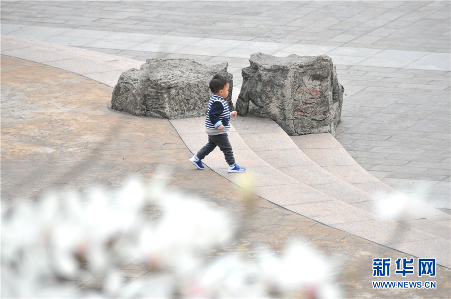 貴陽：春花開 春意濃