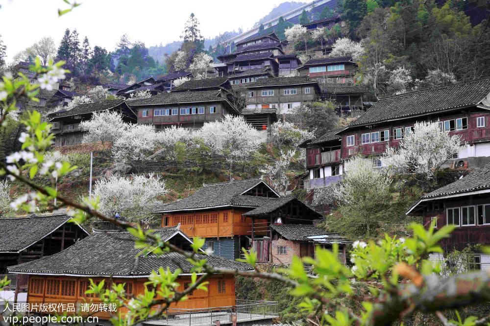 貴州從江：春暖花開村寨美