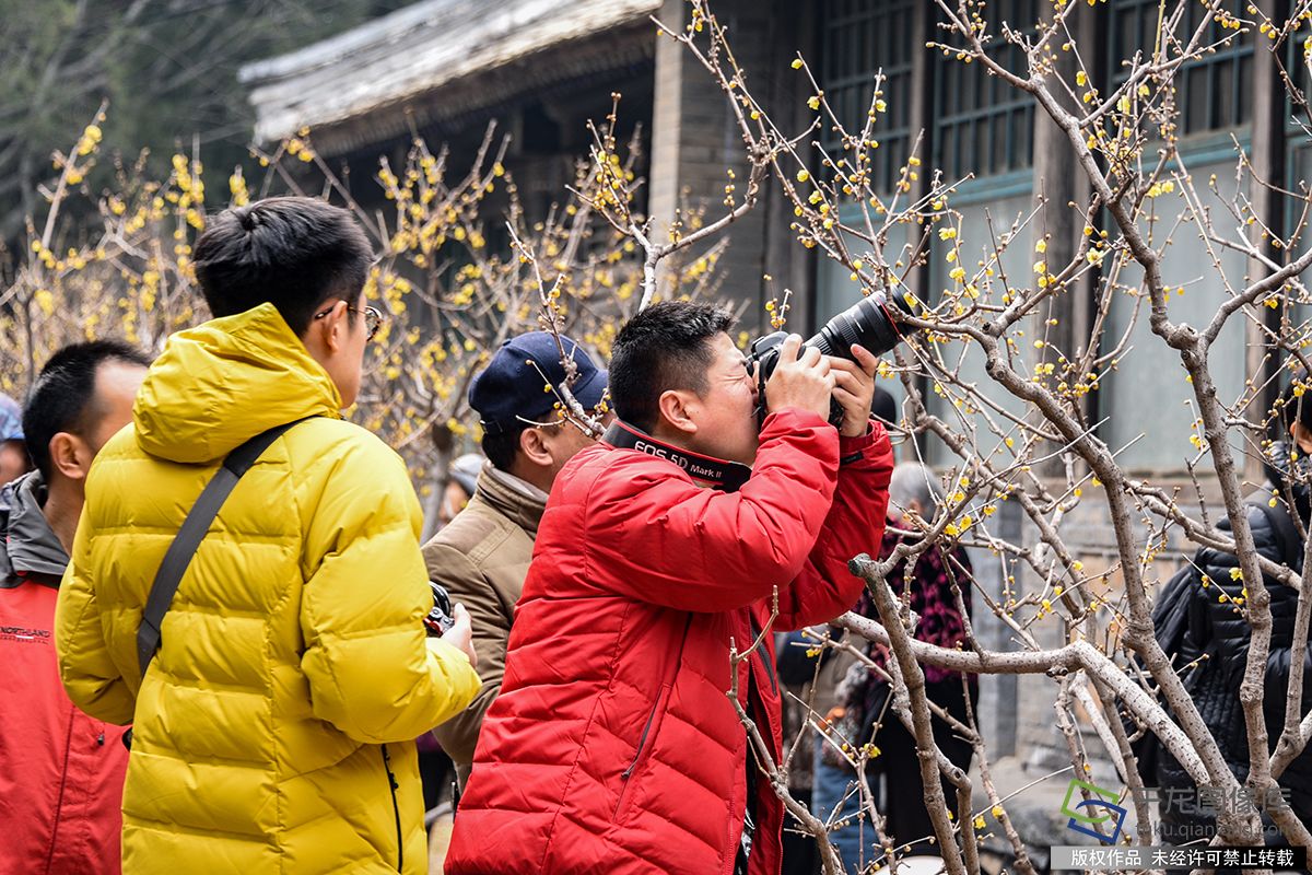 春暖北京 又待一年山花爛漫時