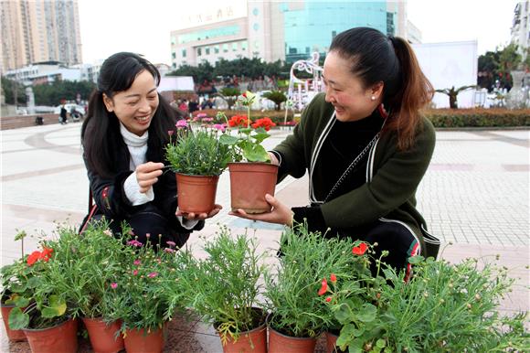 【區縣聯動】【大足】【區縣聯動 列表】大足城管志願者“萬盆鮮花贈市民”