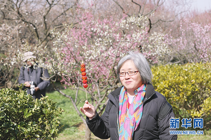 梅花枝頭春意鬧 香飄萬里迎客來