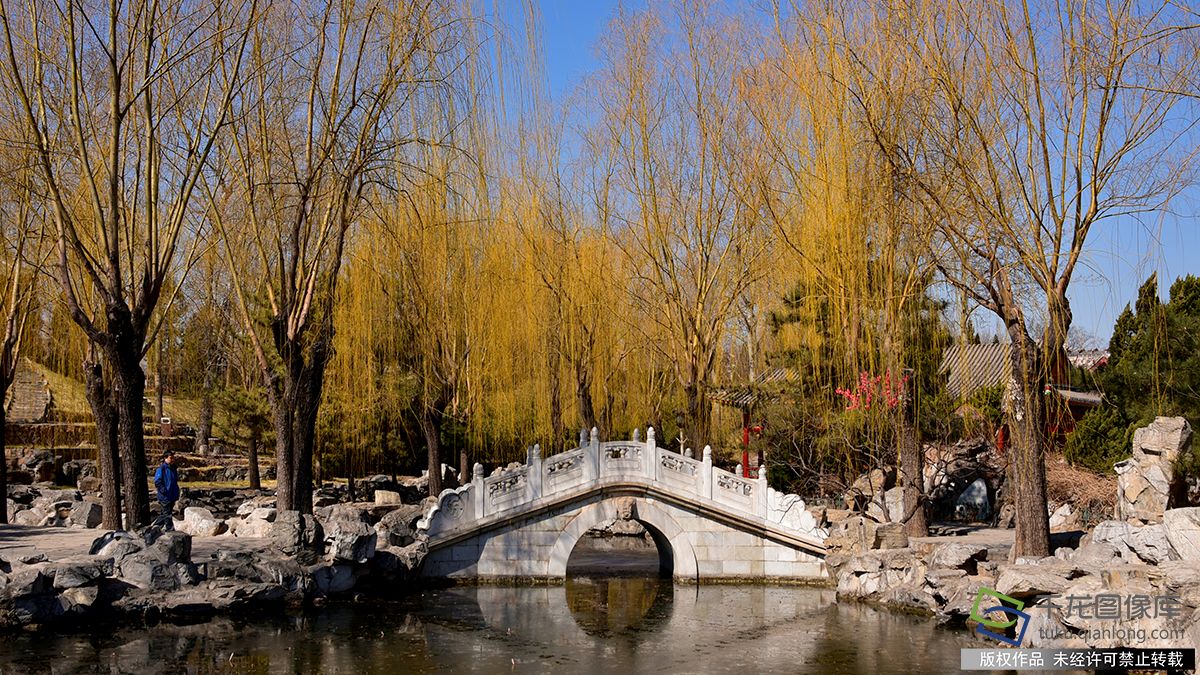 北京大觀園裏春意初顯