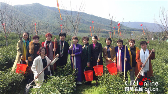 （原創 旅遊 三吳大地無錫 移動版）宜興太華早春茶開採節打響宜興春季旅遊第一槍