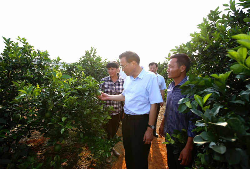 李克強考察江西贛州：打造經得起歷史檢驗的城市地下良心工程