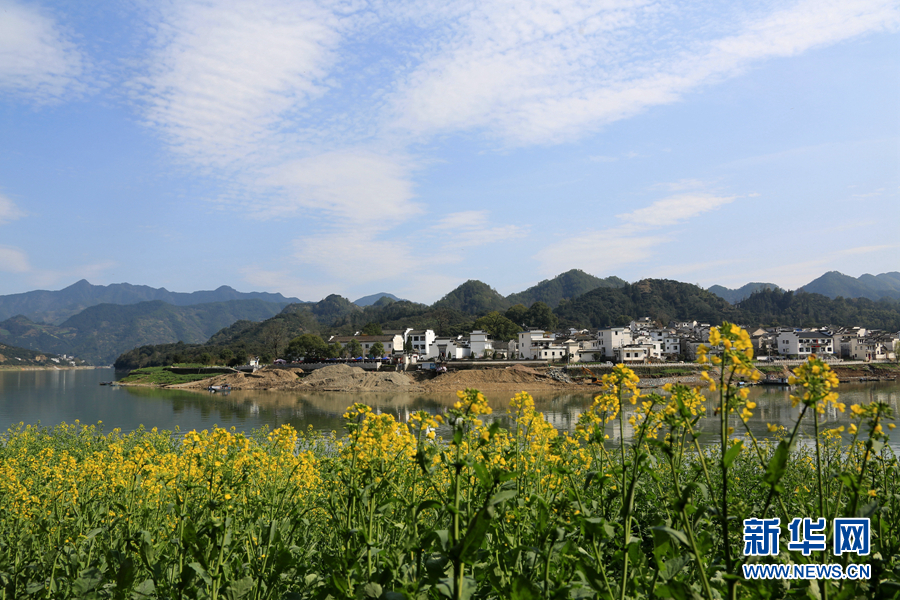 安徽黃山：黃萼裳裳綠葉稠 千村萬戶畫中游