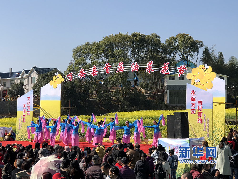 到畫村看花海 江西萬安縣首屆油菜花節開幕