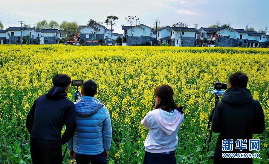 四川：以“花”為媒 實現鄉村振興