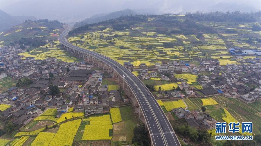 四川：以“花”為媒 實現鄉村振興