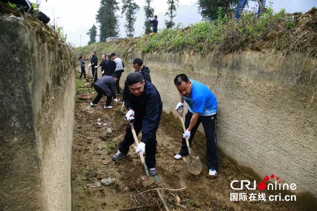 【唐已審】【供稿】【八桂大地】【移動端】【百色】廣西平果縣開展植樹造林和冬春興修水利活動