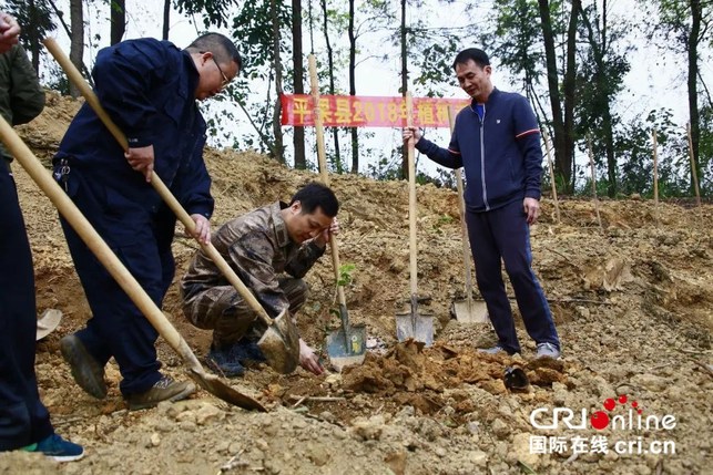 【唐已審】【供稿】【八桂大地】【移動端】【百色】廣西平果縣開展植樹造林和冬春興修水利活動