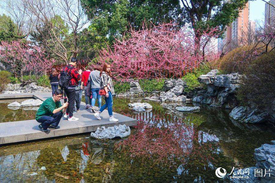 上海靜安雕塑公園春花爛漫 市民踏春賞花樂不停