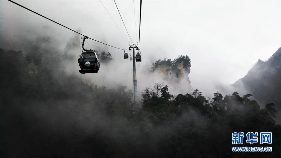 湖南張家界：雲海“水墨畫”