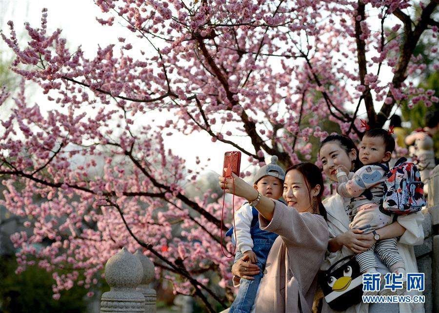 陜西西安：春暖花開競芳菲