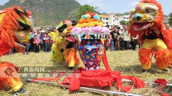 【焦點圖、八桂大地百色、移動端】廣西田陽坡洪二月二花炮節熱鬧非凡 引來各路賓朋(圖)