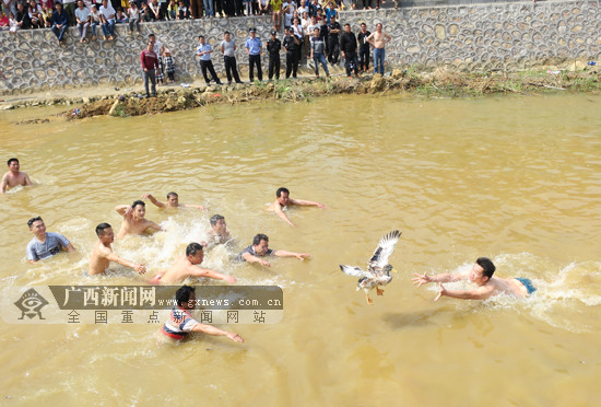 【焦點圖、八桂大地百色、移動端】廣西田陽坡洪二月二花炮節熱鬧非凡 引來各路賓朋(圖)